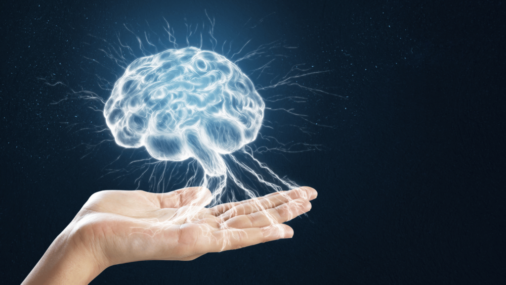 Brain Development